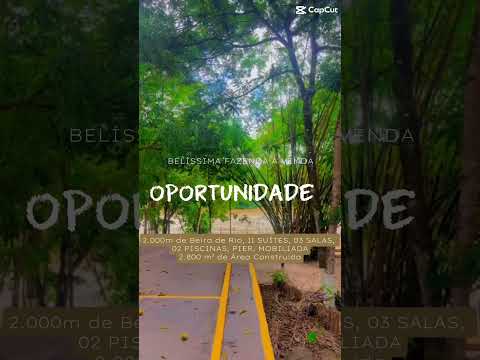 VENDO FAZENDA EM AXIXÁ/MA Mede 165 Hectares e c/ 2000m de Beira de Rio.