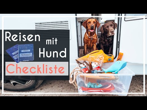 Reisen mit Hund - das muss alles mit - Packliste | Chocolate + Foxred Labrador |  KaroLovesMilka