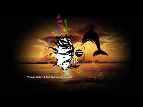 Vintage Culture & Zerky   Champagne n' Cocaine