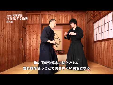 甲野善紀の突き技・入身・蹴り（DVD『甲野善紀 技と術理2014 内観からの展開』より）