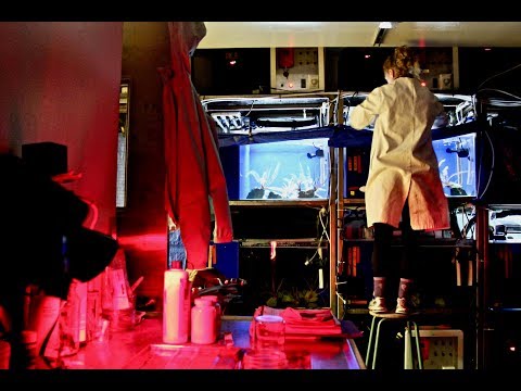 A day in the life of a glass sponge researcher