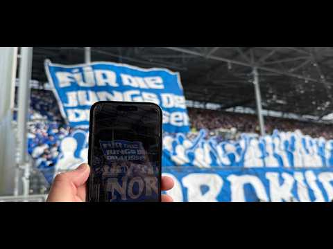 North Stand Gelsenkirchen: For the boys...