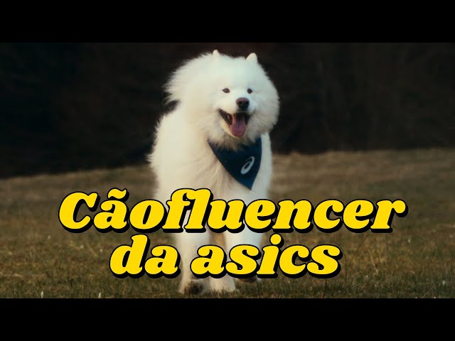 Faça do seu CÃO um INFLUENCIADOR de CORRIDA da asics!