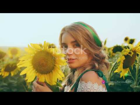 The Magical Adventure in Dreamland Story for Kids