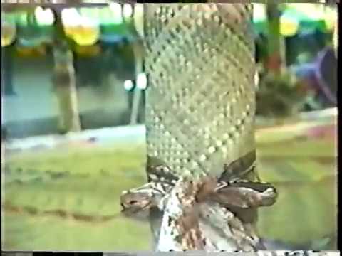 Si'ialofa a le itū tinā, Saofa'i a le Afioga a le Maoputasi, Mauga Tasiaeafe Asuega (Part 1)