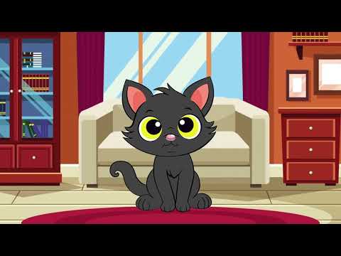 Volevo un gatto nero - Canzoncine Piccine - Canzoni per bambini