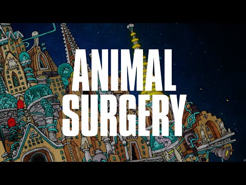Video thumbnail for Animal Surgery