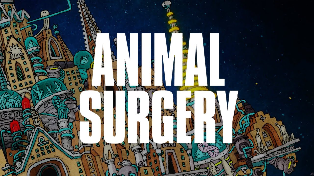 Dance Gavin Dance - Animal Surgery