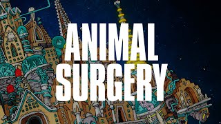 Dance Gavin Dance - Animal Surgery (Official Visualizer)
