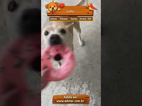 Vídeo de Lully