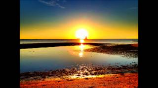 Home Brew - Dedicated To (over Side Effekt - Stay True)