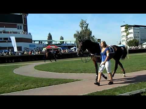 Pardubice 18.8.2012 - Nikas Paddock