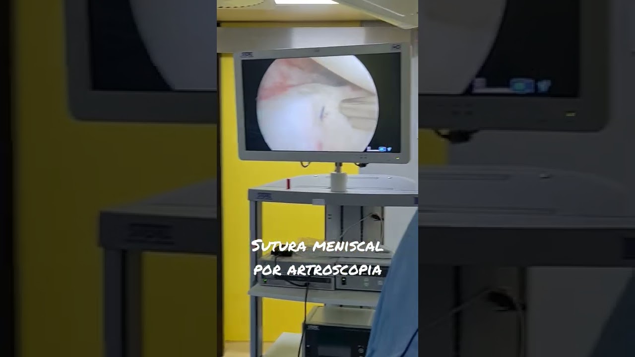 Alejandro Oros Estrada-24