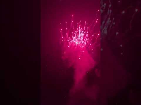 Firework Rocket - Sky shot Crackers Latest Price, Manufacturers & Suppliers