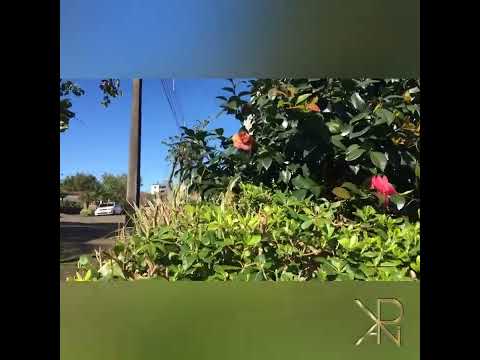 Apartamentos com 2 quartos, 59,78m², à venda em Dois Irmãos, Floresta