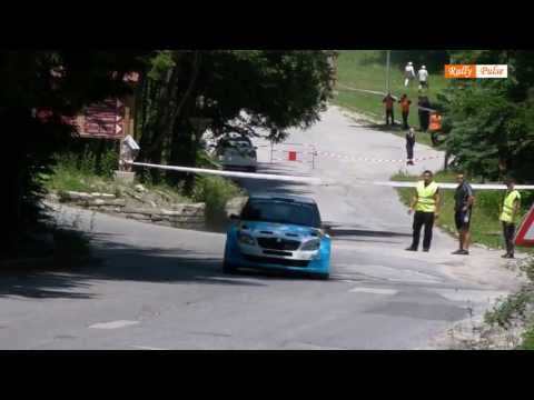 Rally Bulgaria 2013 - Alexander Saluk Day 2
