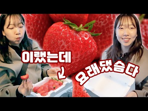 EP1.) 딸기가 너무 맛있으면 벌어지는 일 #딸기 #딸기케이크