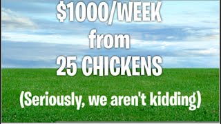 How to make $1000 per week with 25 chickens (really! Not click bait) make money on the homestead