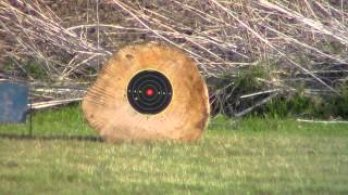 preview picture of video 'Savage MkII 75 yards open sights'