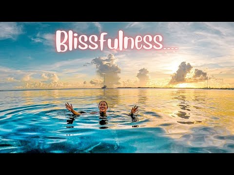 Bliss in Utila Honduras - Guide to Utila and Amazing Things To Do