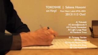 細海 魚『とこしえ』アナログ盤全曲試聴ーSakana HosomiーTOKOSHIE
