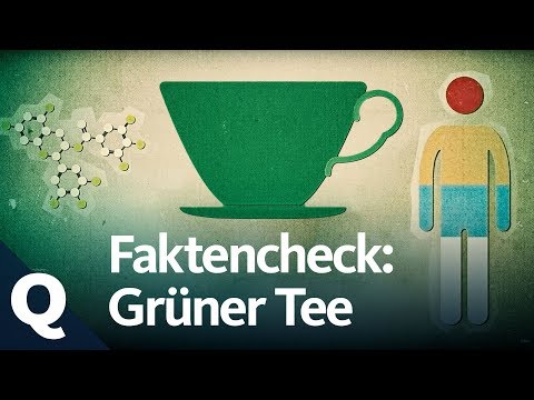 Fact check: Green tea as a miracle cure | Quarks