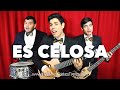 Es celosa (Parodia de Elefante "Mentirosa ...