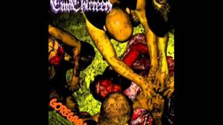 Twothirteen - Goregasm