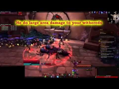 Withered Army Training: Full Clear [WoW Legion]
