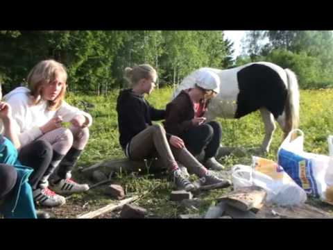 Metsäpirtin kakkoset 2010 - lyhyt kooste