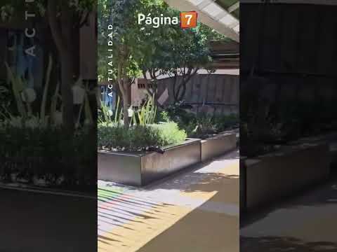 Colapsa techo en Portal El Belloto de Quilpué: cayó sobre tienda Pandora