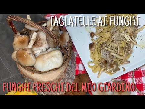 TAGLIATELLE AI FUNGHI /RACCOLTI IN GIARDINO