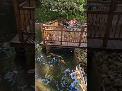 Poços de Caldas MG - Passeio da Rota 408 #cidadesdobrasil