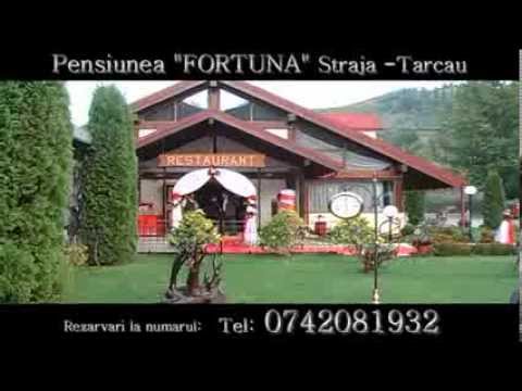 Pensiunea "FORTUNA"  Straja - Tarcau ,  jud. Neamt