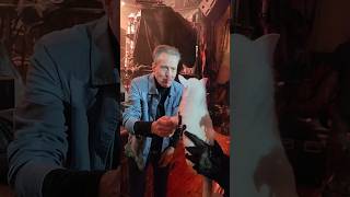 Chihuahua meets Skinny Puppy #skinnypuppy #industrialmusic #shorts #youtubeshorts