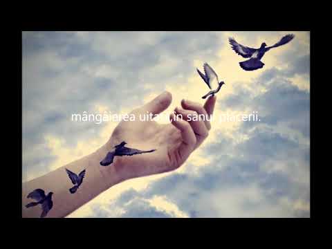 LUMINI IN NOAPTE-autor-Liza Popa Diupon