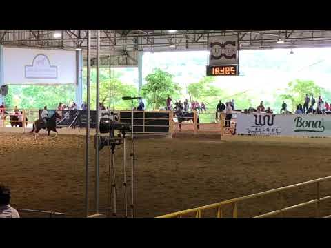 Captiva Six x Renan Gruman 16'961