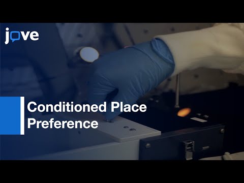 Conditioned Place Preference