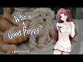 Puppy Obedience School Part 1 Basic Training Hypnosis