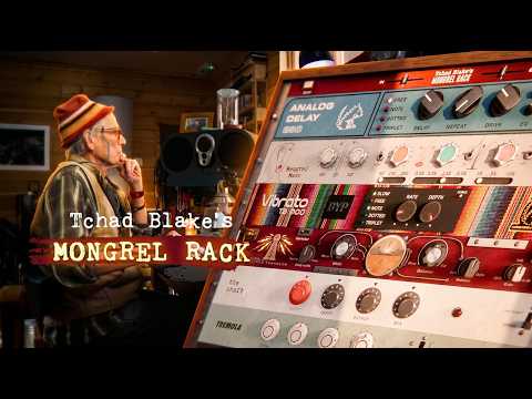 Free Download Mongrel Rack v1.0.3 AAX VST3 x64 WiN-R2R