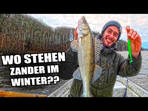 Wo stehen Zander im Winter? Zander Standplätze einfach finden