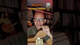 Metamorfose ambulante  - Raul Seixas . #raulseixas #rock #music