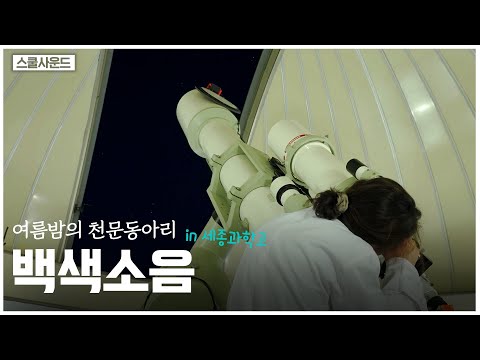 별빛 가득한 밤하늘 아래, 아이들과 풀벌레 소리