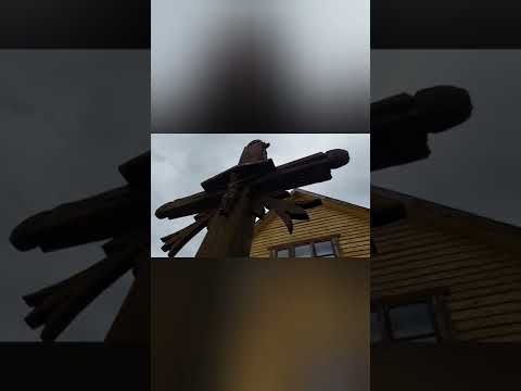 BENJAMINAS GADEIKIS." VAKARO SUTEMOS LEIDŽIAS LAUKUOS..."(skirta tiems, kuriems 50+).