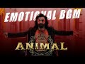 Animal Movie Emotional BGM | Saari duniya jala denge | Ranbir Kapoor | Rashmika | SandeepReddy Vanga