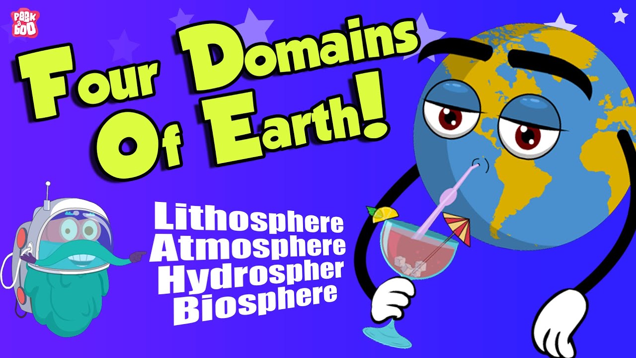 What are the main elements of the biosphere?