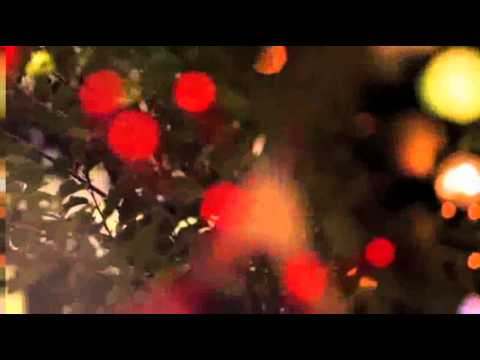 Darren Morfitt - Glorious (Original Mix) [TBA] OFFICIAL TEASER VIDEO