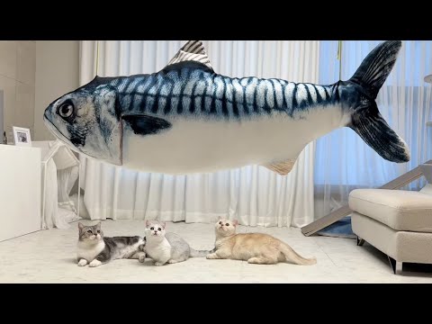 고양이에게 생선을 맡기면 생기는 일