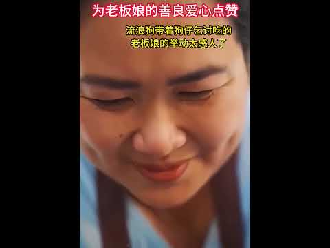 流浪狗帶著狗仔乞討吃的，老闆娘的舉動太感人了，流浪狗帶著狗仔吃完，臨走時轉頭作揖謝恩，萬物都有靈#養狗的意義#流浪狗#記錄生活#善待動物#正能量#流浪狗救助#熱門#真實#感人