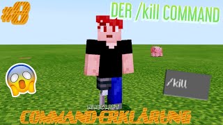 ICH ERKLÄRE euch den /kill Command!?😁😅 -Minecraft COMMAND-ERKLÄRUNG #8 [Deutsch/HD]